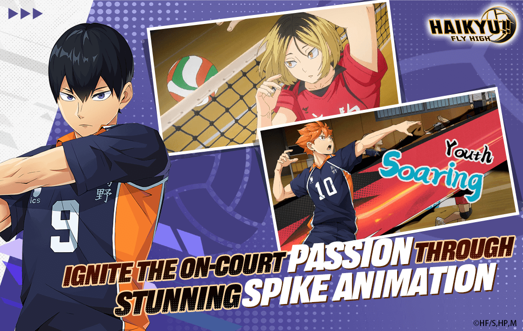 Haikyuu Fly High
